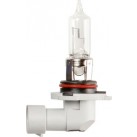 CARLEX HB3 CAP P20d 12V 60W PACK OF 10