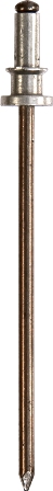 MOULDING CLIPS (50) TRIM FIXING RIVETS 1/8" DIAMETER UNIVERSAL