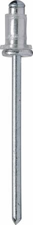 FIX713 TOYOTA ALU/CLEAR RIVETS FOR WINDOWS (20)