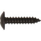 SELF TAPPING SCREW FLANGED HEAD POZI BLACK NO 10 x 1" (200)