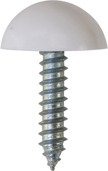 NUMBER PLATE FASTENERS WHITE (100) SELF TAPPERS-DOMES & CUPS