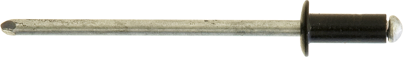 BLACK RIVETS STANDARD